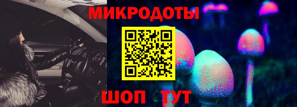 Псилоцибиновые грибы прущие грибы  Вход с VPN  закладка  Конаково 