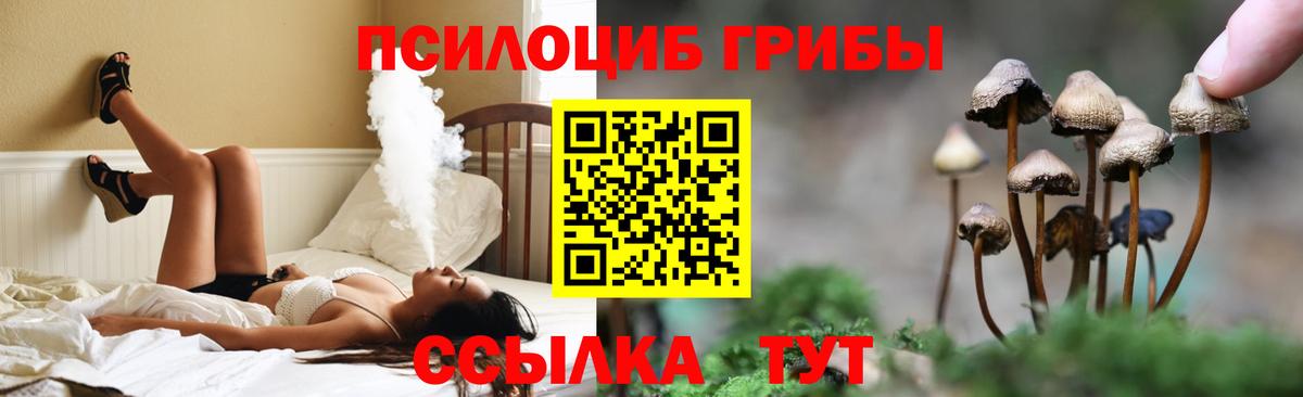 Псилоцибиновые грибы Magic Shrooms Конаково